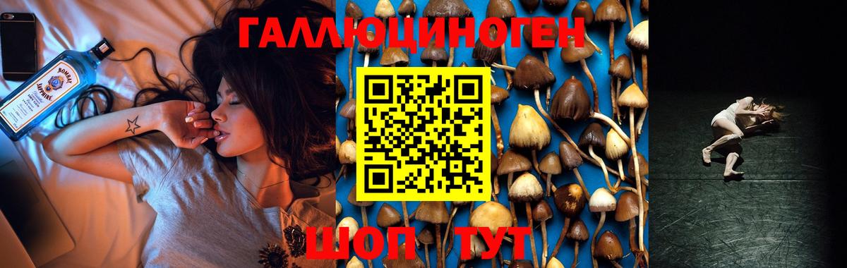 Галлюциногенные грибы ЛСД  где купить наркотик  Сунжа  Вход с VPN 