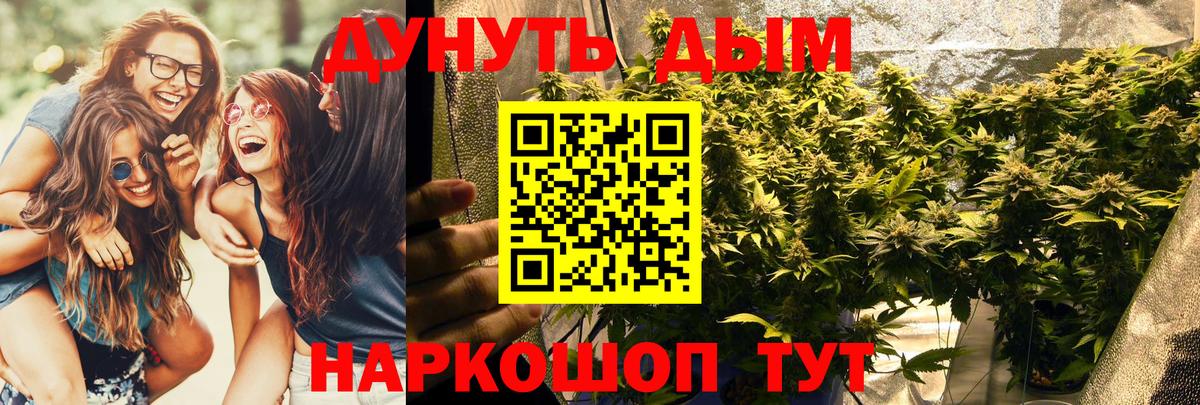 Бошки Шишки Сунжа
